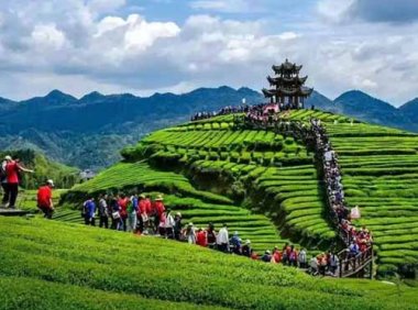 中共中央办公厅 国务院办公厅印发《乡村建设行动实施方案》