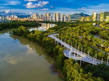 国务院办公厅关于鼓励和支持社会资本参与生态保护修复的意见