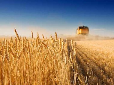 《粮食质量安全监管办法》自2023年10月1日起施行