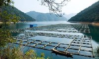 《出口水产品原料养殖场备案管理办法》海关总署公告2024年第27号