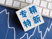 北京市东城区2025年专精特新中小企业资质申报及专精特新梯队企业信息更新、到期复核相关工作的通知