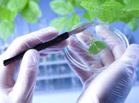 《交叉学科设置与管理办法（试行）》学位〔2021〕21号