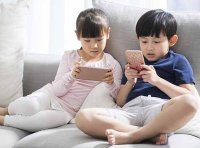 《关于加强网络文化市场未成年人保护工作的意见》办市场发〔2021〕211号