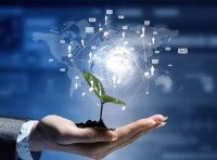 山东省省级“拨投结合”、“先投后股”科技项目管理实施细则、省级科技担保保费补贴及风险补偿实施细则（鲁科字〔2024〕42号）