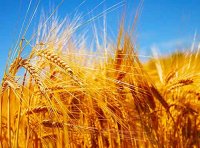 农业农村部 海关总署关于农药进出口最新管理政策公告（第416号）