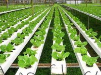 全国农牧渔业丰收奖奖励办法实施细则