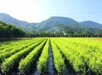 国家林业和草原局办公室关于启用《林草种子生产经营许可证》的通知