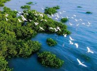 生态保护和修复支撑体系中央预算内投资专项管理办法