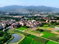 《农村集体经济组织财务制度》财农〔2021〕121号