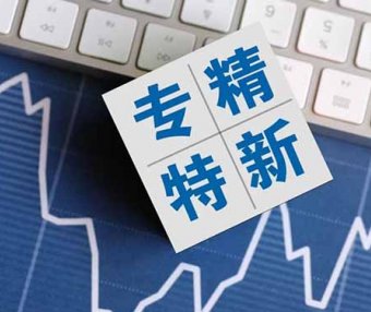 北京市东城区2025年专精特新中小企业资质申报及专精特新梯队企业信息更新、到期复核相关工作的通知