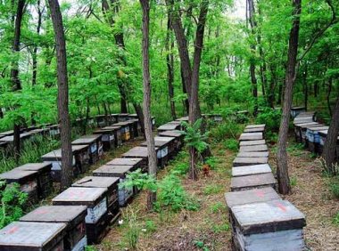 《全国林下经济发展指南（2021-2030年）》林改发〔2021〕108号