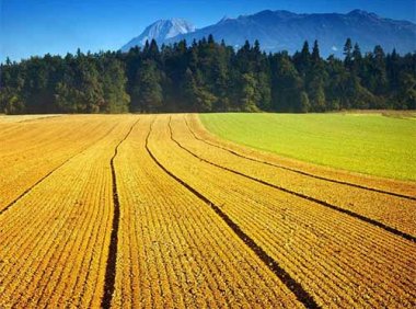 《关于严格耕地用途管制有关问题的通知》自然资发[2021]166号