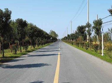 《关于进一步加强农村公路技术状况检测评定工作的通知》交办公路〔2021〕83号