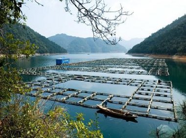 《出口水产品原料养殖场备案管理办法》海关总署公告2024年第27号