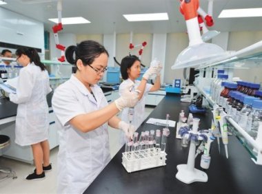 检验检测领域综合治理行动方案（国市监检测发〔2024〕80号）