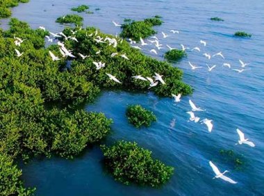 生态保护和修复支撑体系中央预算内投资专项管理办法