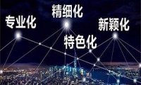 厦门市优质中小企业梯度培育管理实施细则（厦工信规〔2023〕2号）