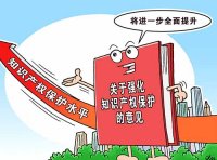 《2022年全国知识产权行政保护工作方案》国知发保字〔2022〕5号