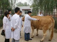 全国执业兽医资格考试委员会公告