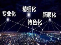厦门市优质中小企业梯度培育管理实施细则(厦工信规〔2023〕2号)