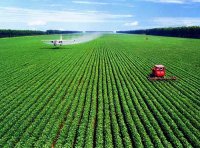 农业农村部办公厅关于开展第八批农业产业化国家重点龙头企业申报工作的通知（农办产〔2023〕5号）