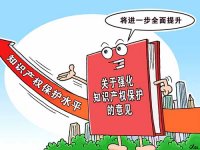 《2022年全国知识产权行政保护工作方案》国知发保字〔2022〕5号