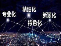 厦门市优质中小企业梯度培育管理实施细则（厦工信规〔2023〕2号）
