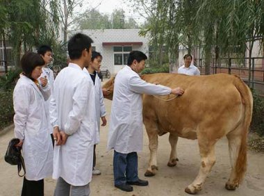 全国执业兽医资格考试委员会公告