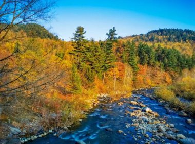 《“十四五”大小兴安岭林区生态保护与经济转型行动方案》发改振兴〔2022〕14号