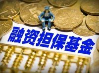 关于开展2021年新增小微企业融资担保业务 降费奖补项目申报工作的通知