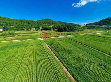 《农田建设补助资金管理办法》财农〔2022〕5号