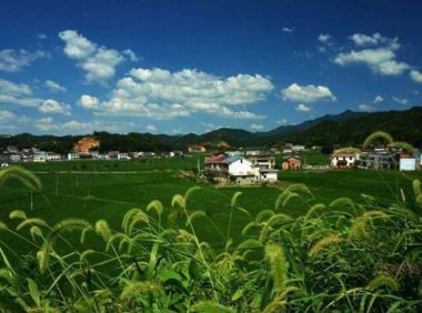 国务院关于做好2022年全面推进乡村振兴重点工作的意见