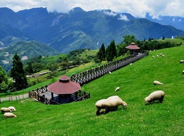 农业农村部办公厅关于印发《推进生态农场建设的指导意见》的通知