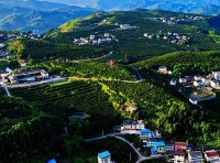 2022年新型城镇化和城乡融合发展重点任务（发改规划〔2022〕371号）