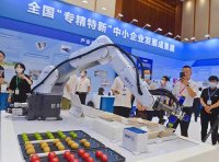 湖南省工业和信息化厅关于征集国家级专精特新“小巨人”企业典型案例的通知