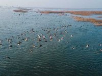 《关于加强入河入海排污口监督管理工作的实施意见》国办函〔2022〕17号