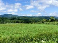 《“十四五”全国饲草产业发展规划》农牧发〔2022〕7号