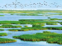 国务院关于加强滨海湿地保护严格管控围填海的通知（国发〔2018〕24号）