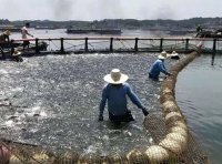 海域使用权变更审核服务指南