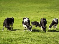 《进口蒙古国乳品检验检疫要求》 海关总署公告2022年第23号