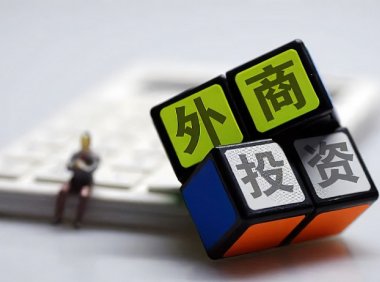 江苏省《关于进一步优化外商投资环境加大吸引外商投资力度的若干措施》苏政发〔2024〕14号