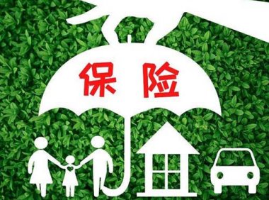 关于强监管防风险促改革推动财险业高质量发展行动方案（金办发〔2024〕121号）