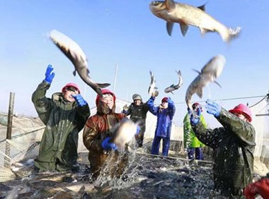 渔业职务船员证书申请资历条件调整方案（农渔发〔2022〕8号）