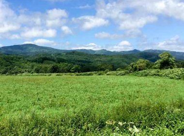 《“十四五”全国饲草产业发展规划》农牧发〔2022〕7号