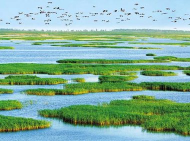 国务院关于加强滨海湿地保护严格管控围填海的通知（国发〔2018〕24号）