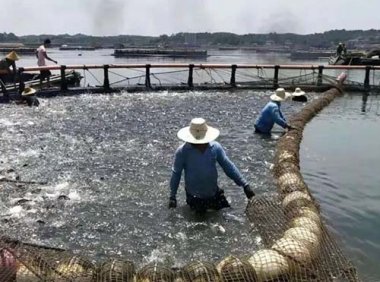 海域使用权变更审核服务指南