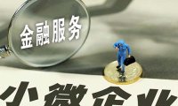 《海口市中小企业发展专项资金管理办法（2024年修订）》海府规〔2024〕5号