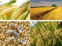 《出口许可证管理货物目录（2021年）》商务部 海关总署2020年第71号