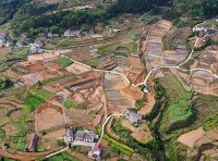 中国银保监会办公厅 关于2022年银行业保险业服务全面推进乡村振兴重点工作的通知