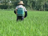 农业农村部办公厅关于切实加强当前农药监督管理工作的通知（农办农〔2023〕29号）